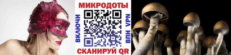 omg   Мончегорск  Псилоцибиновые грибы прущие грибы  купить наркотик 