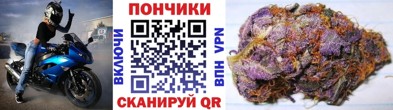 где купить   Мончегорск  Бошки марихуана OG Kush 